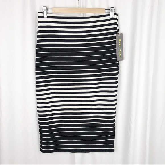 Dresses & Skirts - NWT Striped Pencil Skirt